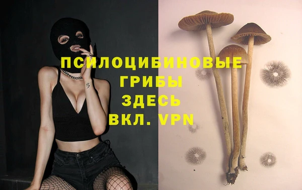 каннабис Алексин
