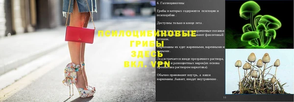 героин Алзамай