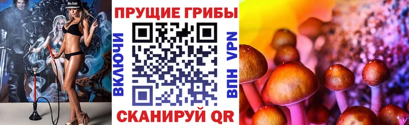 Псилоцибиновые грибы Psilocybe  наркота  Туймазы 
